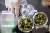 How to Choose the Right Marijuana Dispensary: 5 Tips for a Safe and Satisfying Experience